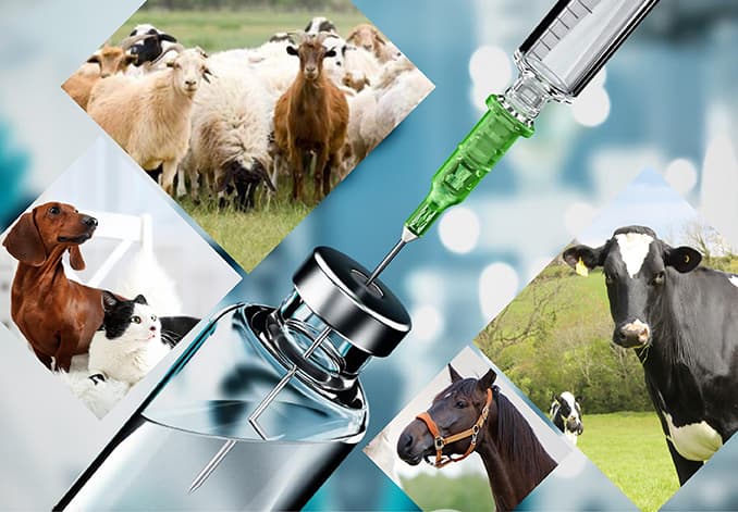 Veterinary Range